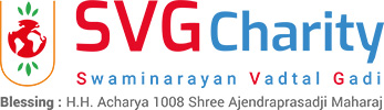 SVG Charity