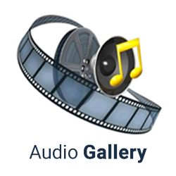 Audio Gallery