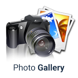 Photo Gallery