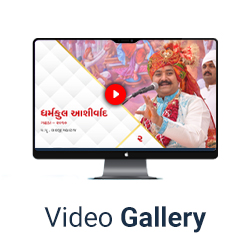 Video Gallery